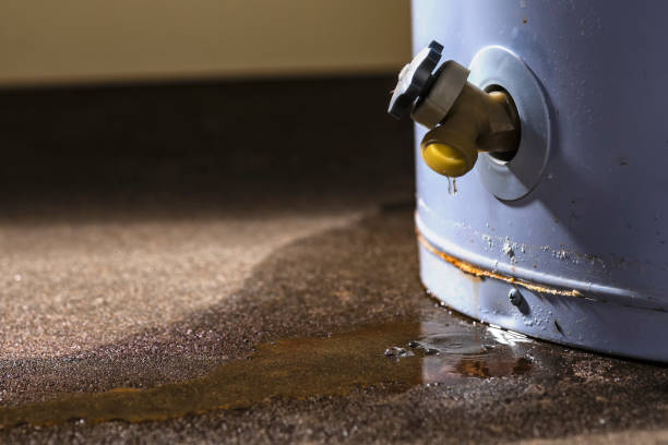 Best Water damage cleanup near me  in Waialua, HI