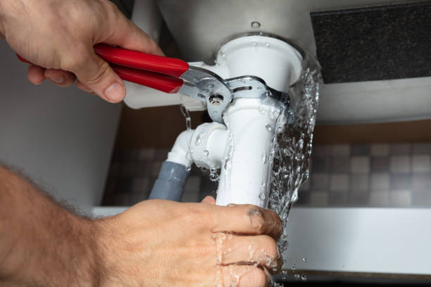 Best Professional water damage repair  in Waialua, HI