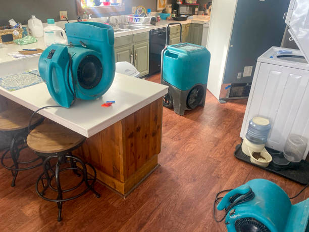 Reliable Waialua, HI Water damage restoration Solutions