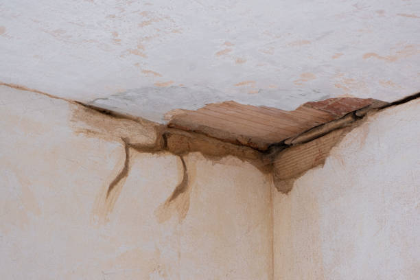 Best 24-hour water damage restoration  in Waialua, HI