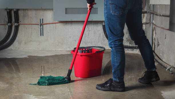 Best Carpet water damage restoration  in Waialua, HI