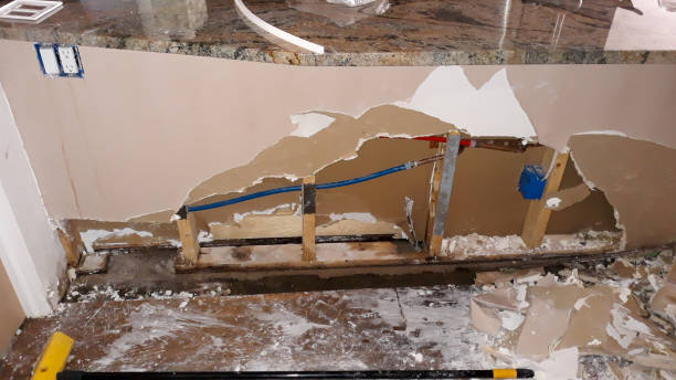  Waialua, HI Water damage restoration Pros