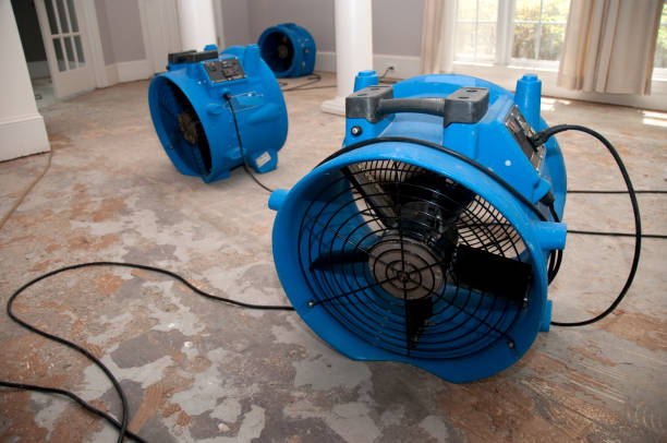 Best Mold removal after water damage  in Waialua, HI