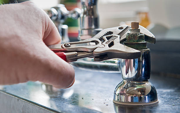Best Professional water damage repair  in Waialua, HI
