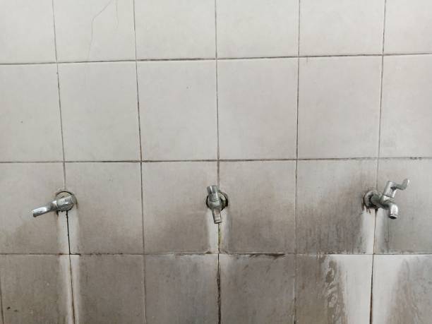 Best Water damage contractors near me  in Waialua, HI