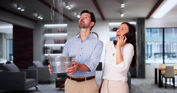 Best Residential water damage restoration  in Waialua, HI